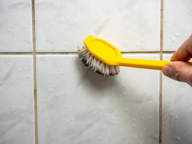 Best Emergency Mold Remediation in Burns Flat, OK