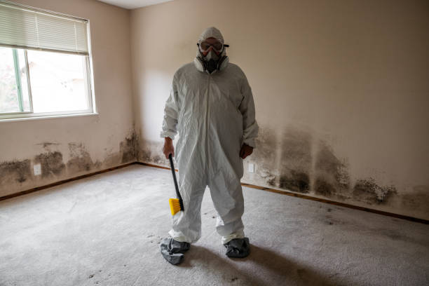Best Emergency Mold Remediation in Burns Flat, OK