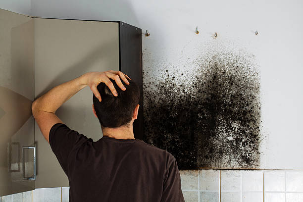 Best Bathroom Mold Remediation in Burns Flat, OK